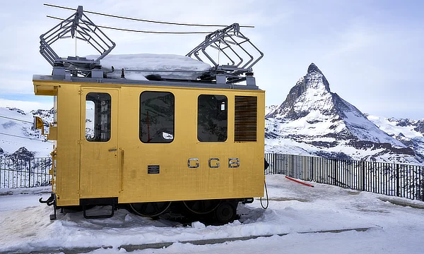 M4-P panthers panorama